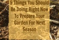 5 Critical Steps to Winterize Your Garden