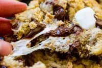 Gooey Smores Chocolate Chip Cookies