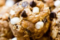S’mores No Bake Protein Bites
