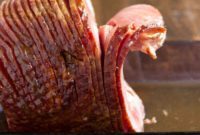 The Art of Carving a Spiral Ham