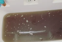 Unlock the Secret to Truly Clean Laundry