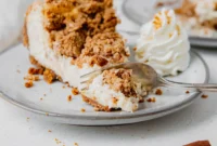 Biscoff Snickerdoodle Cookie Riot Cheesecake