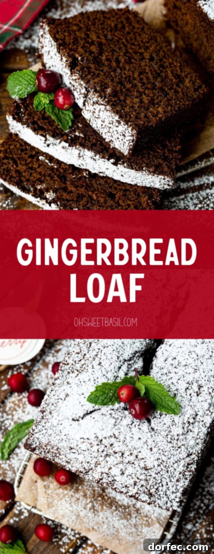 Classic Gingerbread Loaf 16 A photo of several slices of moist gingerbread loaf laying on each other topped with whole cranberries and greenery