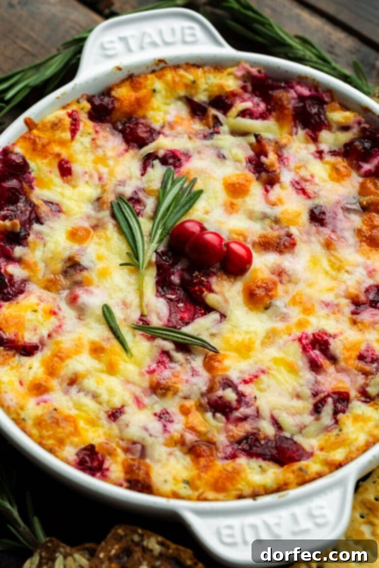 a circular baking dish full of cranberry cream cheese dip topped with melted cheese, a sprig of fresh rosemary and three whole cranberries