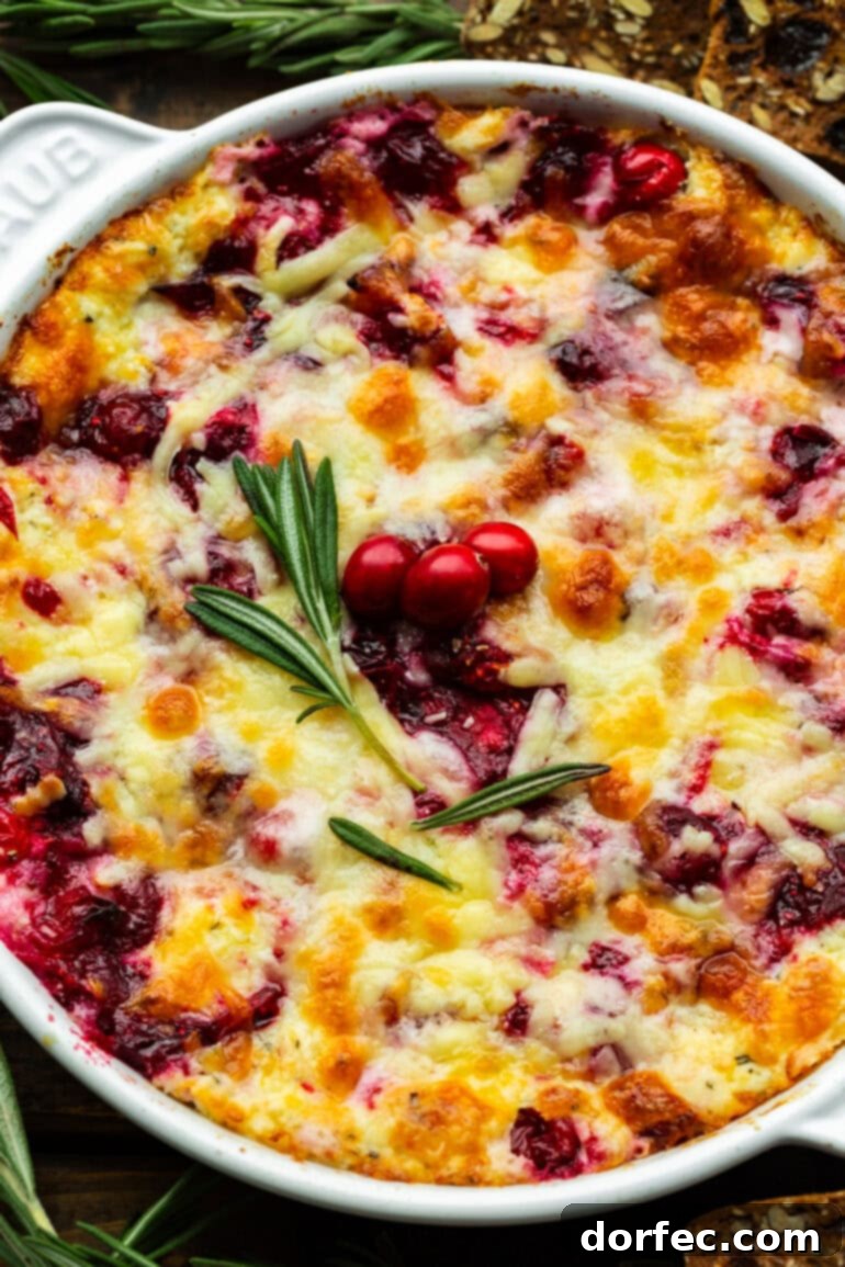 melty cheese cranberry cream cheese dip in a circular baking dish with fresh rosemary on top and a few whole cranberries