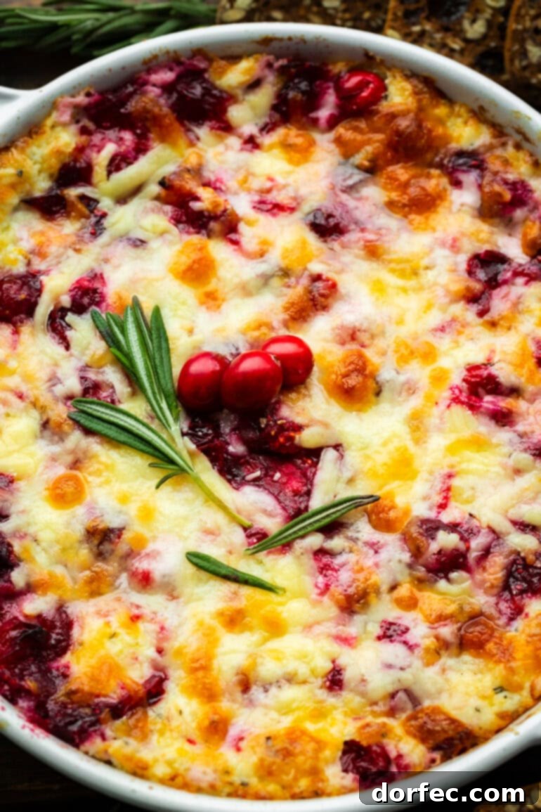 baked cranberry cream cheese dip topped with melted cheese, a sprig of fresh rosemary and three whole cranberries