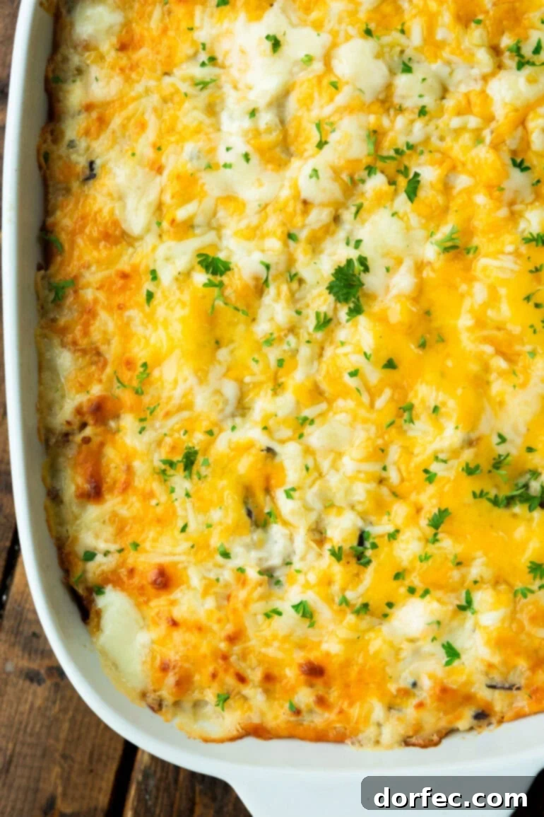 Super Creamy Cheesy Chicken and Rice Casserole 3 A close-up of a bubbling cheesy chicken and rice casserole, garnished with vibrant fresh parsley, highlighting its rich, creamy texture and golden-brown cheese topping.
