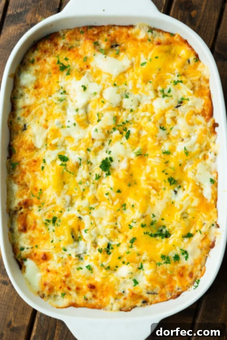 Super Creamy Cheesy Chicken and Rice Casserole 7 A perfectly baked Cheesy Chicken and Rice Casserole, glistening with melted cheese and ready to be served, filling a white ceramic baking dish.