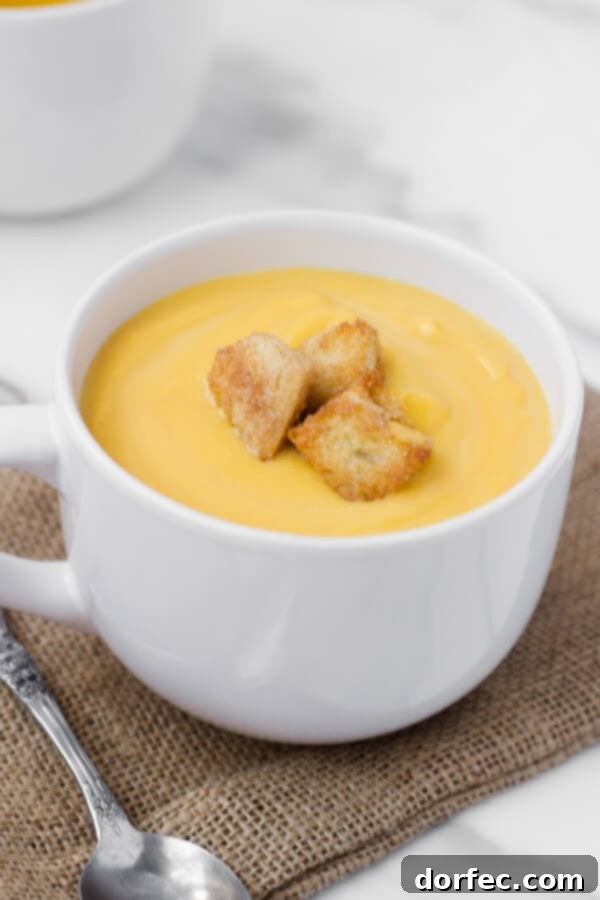 Creamy Butternut Squash Soup with Cinnamon Sugar Croutons - A delightful fall recipe.
