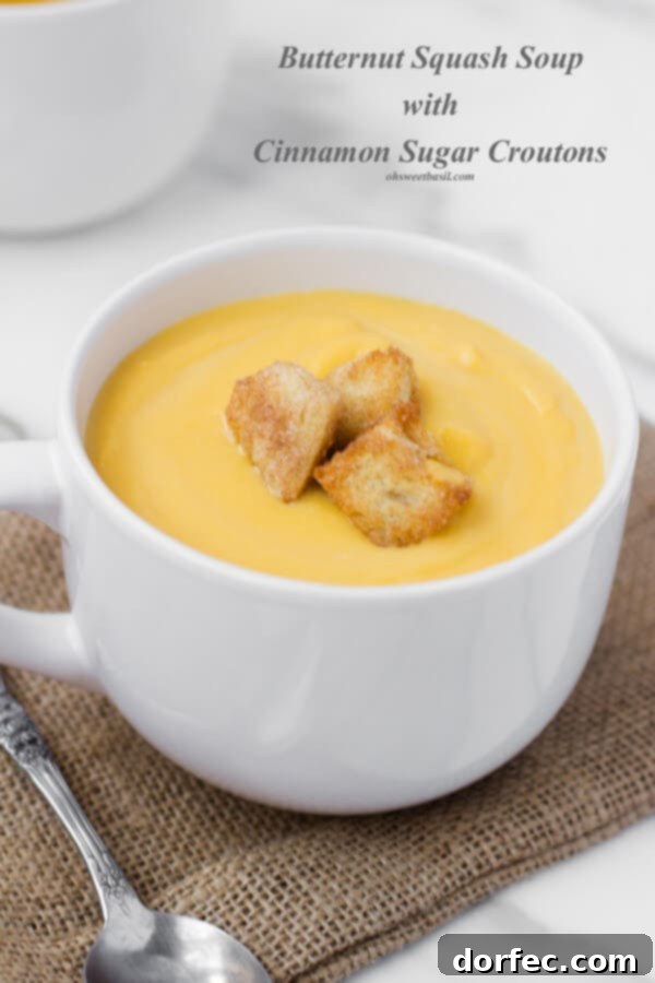 Butternut Squash Soup with Crunchy Cinnamon Sugar Croutons – A comforting autumn recipe.