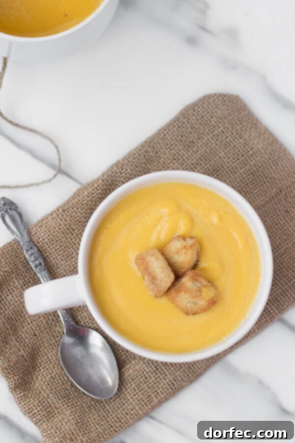 Butternut Squash Soup with Crispy Cinnamon Sugar Croutons – An irresistible combination for autumn.
