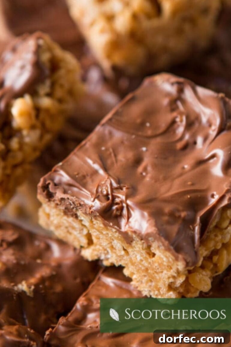 A creamy, chocolate-covered Scotcheroo, with its signature peanut butter and butterscotch base, offers an irresistible sweet treat.