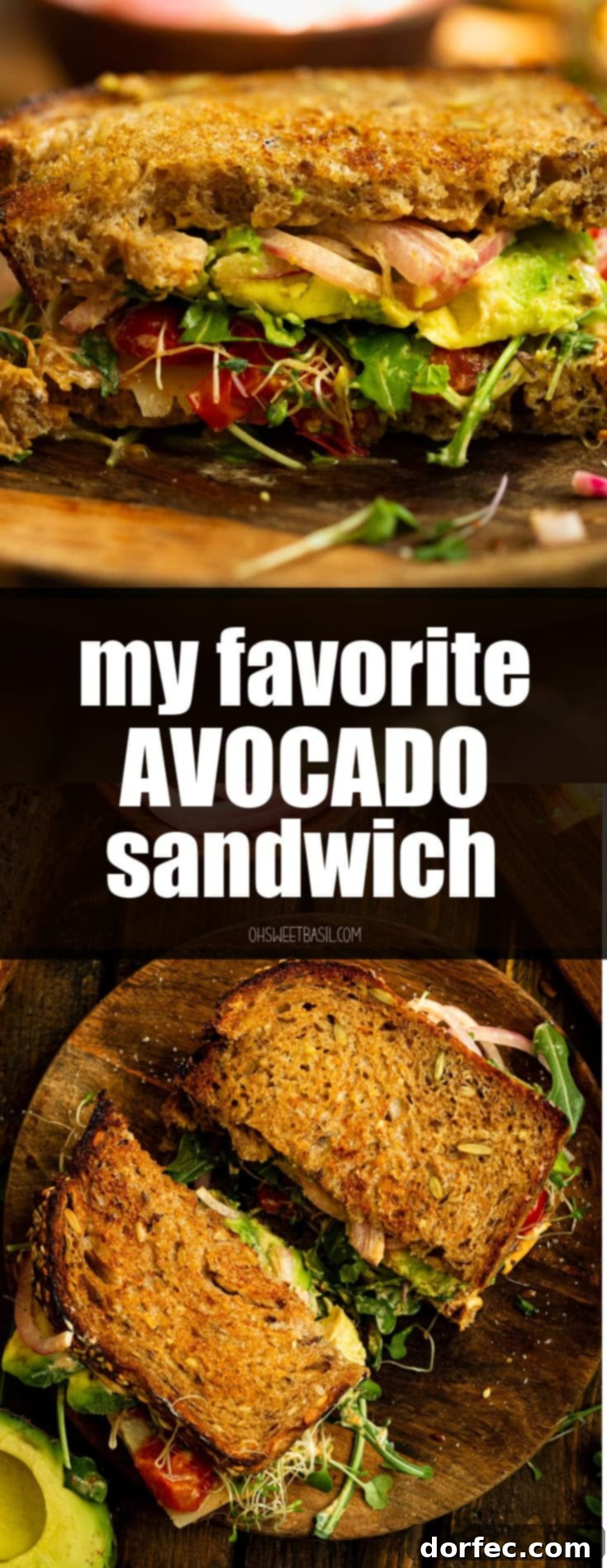 A beautifully composed photo of an avocado sandwich with toasted multigrain bread, bean sprouts, pickled red onions, sliced avocado, and fresh arugula, highlighting its freshness and appeal as a healthy meal.