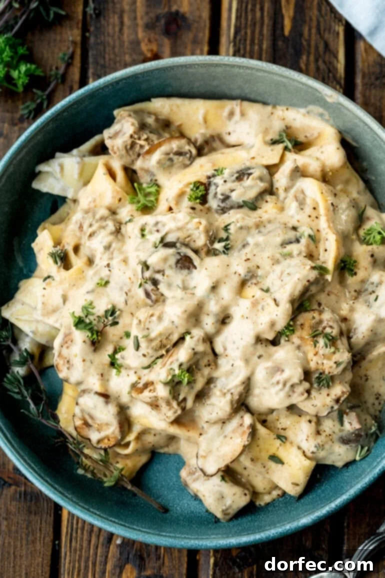Bowl of creamy beef stroganoff with egg noodles and mushrooms