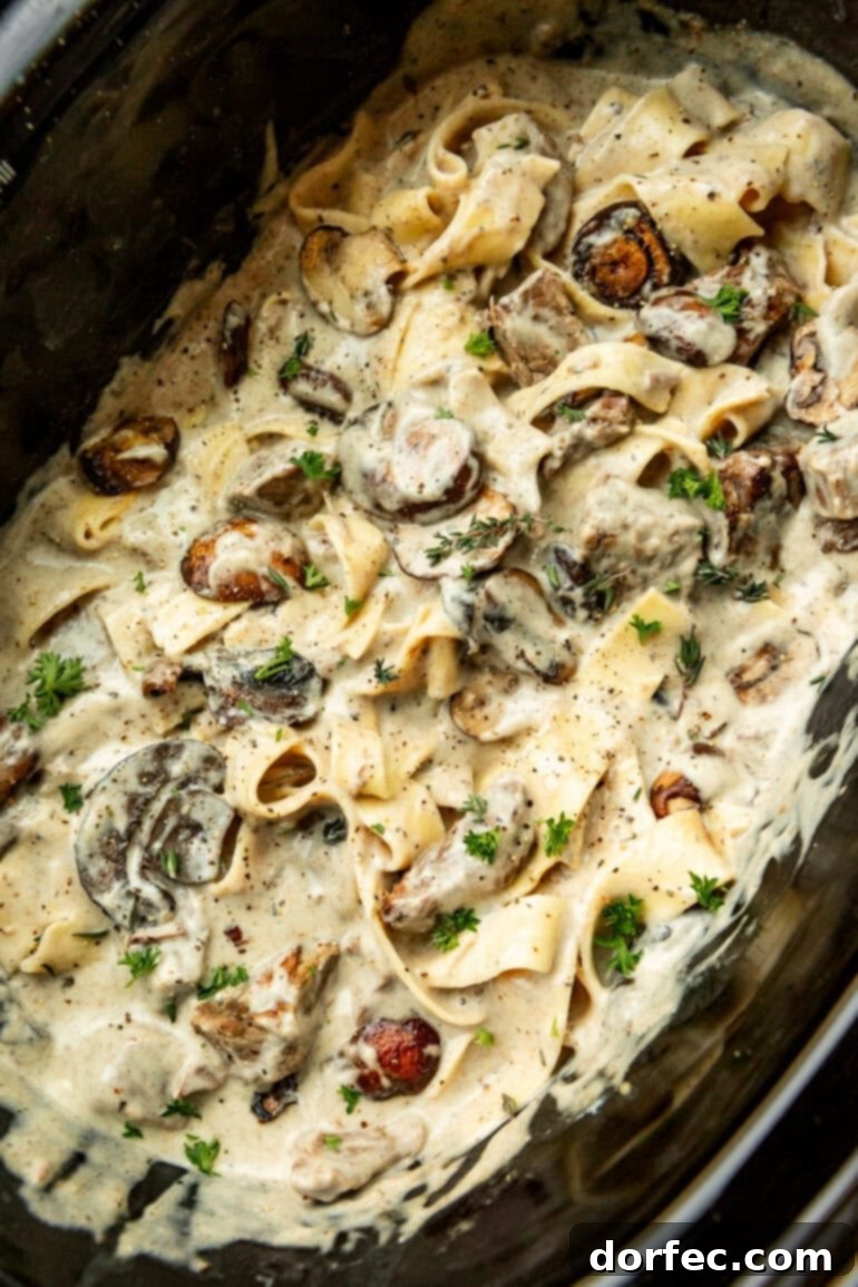 Crock pot full of creamy beef stroganoff