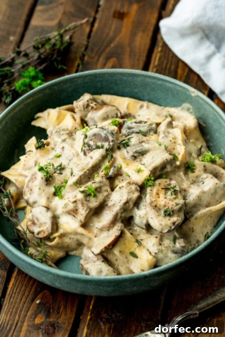 Bowl of beef stroganoff mixed with egg noodles and herbs