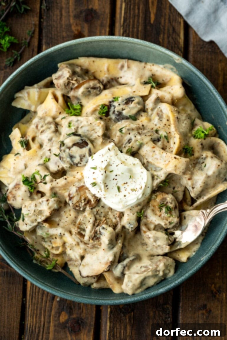 Bowl of beef stroganoff with sour cream