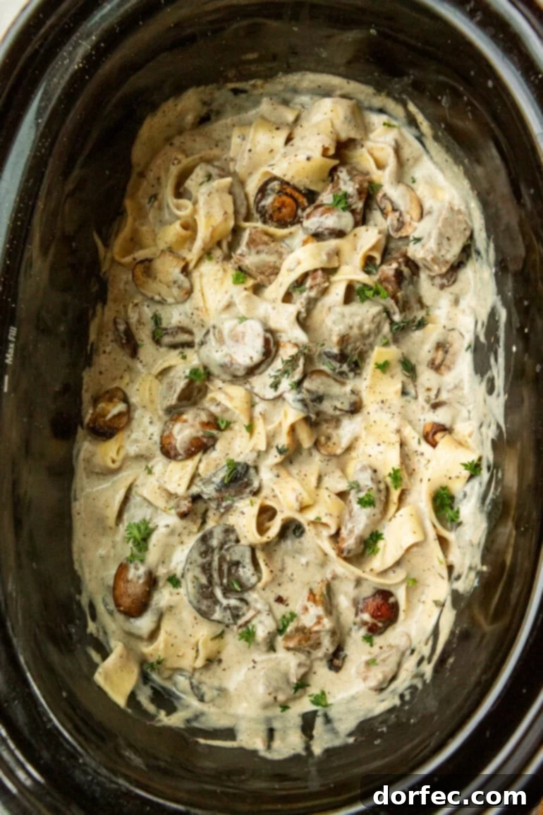 Slow cooker full of creamy beef stroganoff
