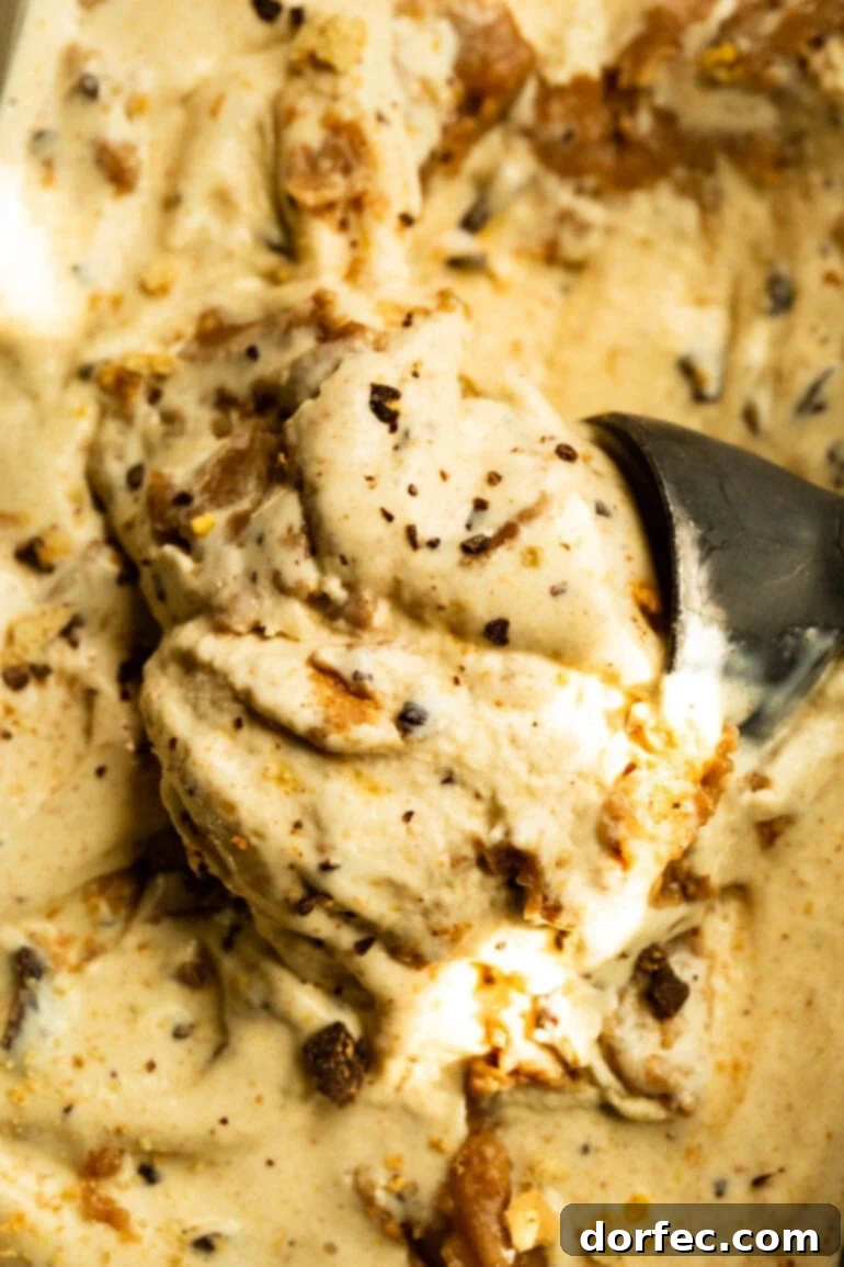 A close-up shot of an ice cream scoop digging into the luscious Graham Canyon ice cream, showcasing the rich texture and visible graham cracker swirl and honeycomb pieces.