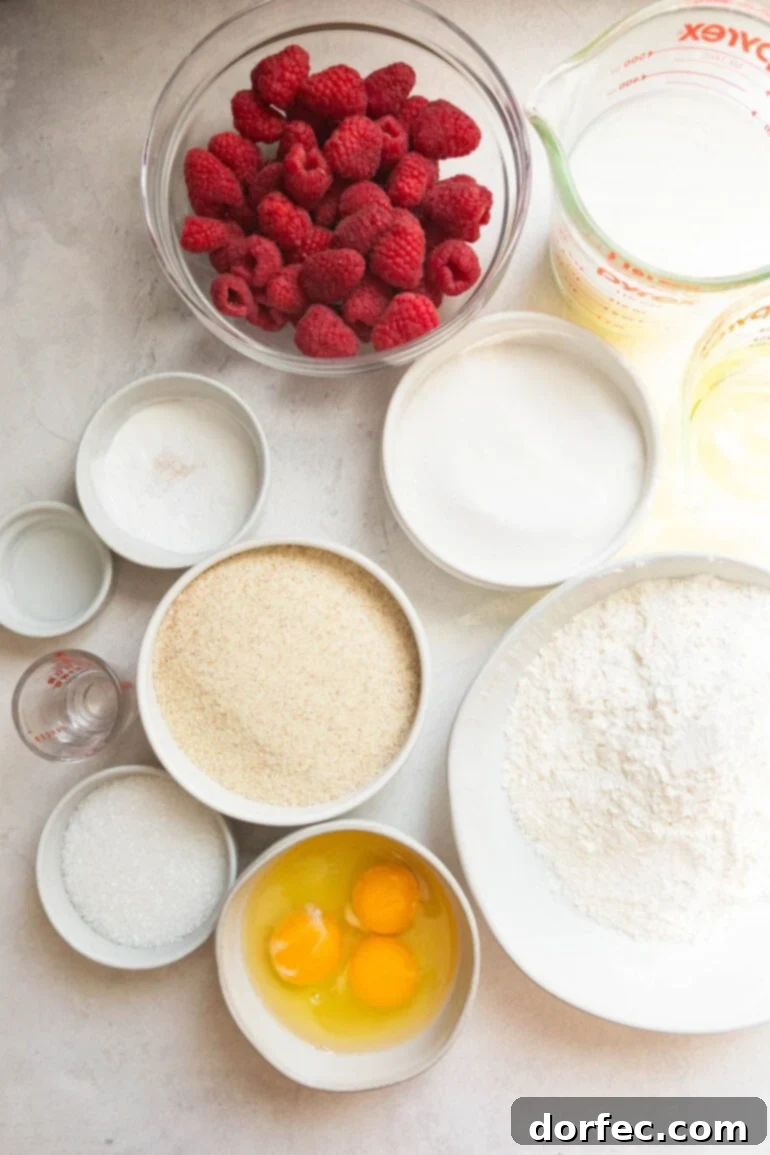 Creamy Baked Yogurt Cheesecake 3 A photo displaying all the ingredients for cheesecake baked yogurt in separate bowls, including yogurt, eggs, cornstarch, honey, fresh raspberries, and graham cracker crumbs.