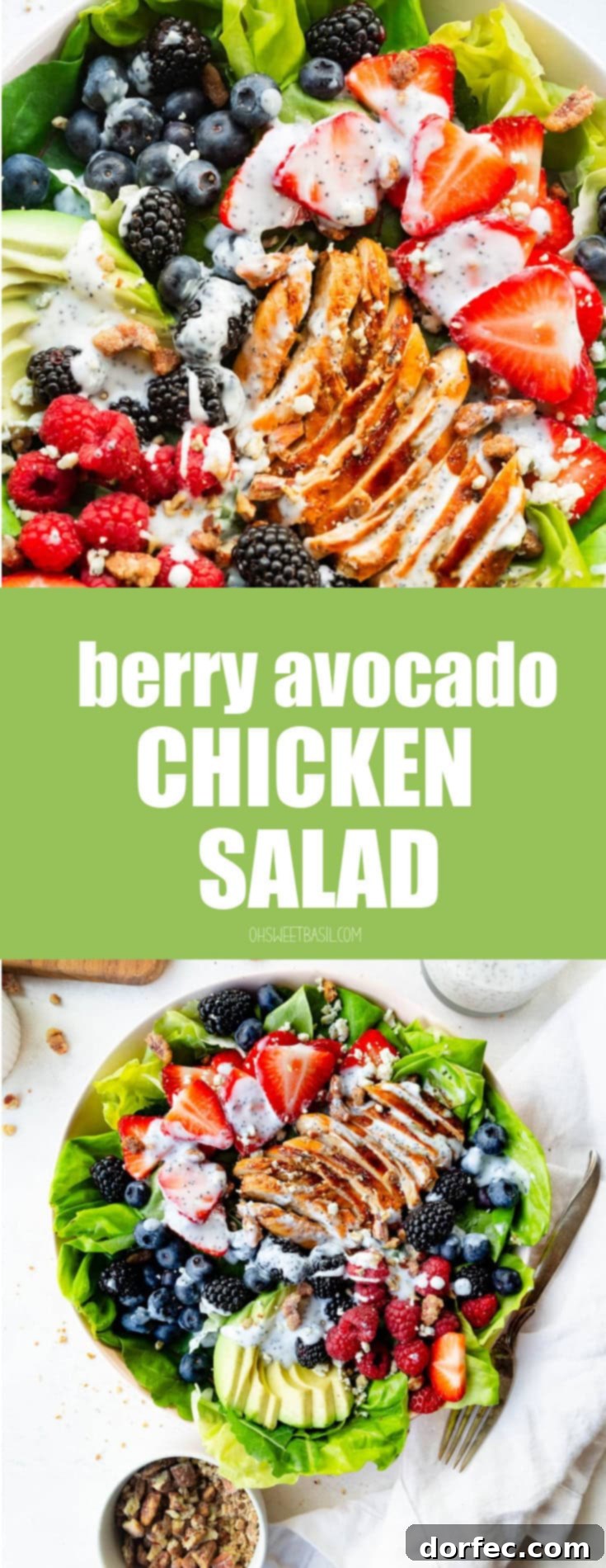 An irresistible overhead shot of a generous bowl of Berry Avocado Chicken Salad, beautifully presented with perfectly sliced grilled chicken, creamy avocado, and a medley of fresh, colorful berries, all drizzled with our signature poppyseed dressing. This image highlights the freshness and vibrant appeal of this healthy dinner option.