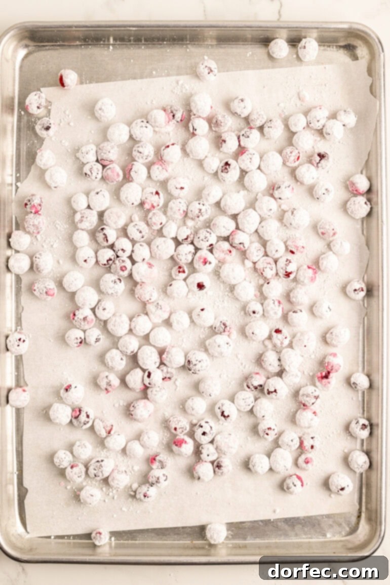Glittering Sweet Tart Cranberries 7 Step-by-step image of candied cranberries baking on a cookie sheet.