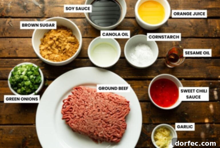 A visually appealing photo showcasing all the fresh and vibrant ingredients for Korean ground beef and noodles, neatly arranged in separate small bowls on a rustic wooden surface.