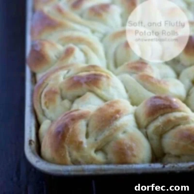 Ultimate Homemade Dinner Rolls 3 A close-up of golden-brown potato rolls, showing their soft, slightly textured surface, appealing to those seeking delicious homemade bread options.