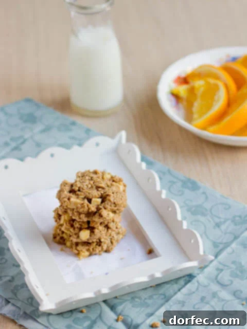 Almond Joy Protein Boost 13 Peanut Butter Breakfast Cookies with Apple
