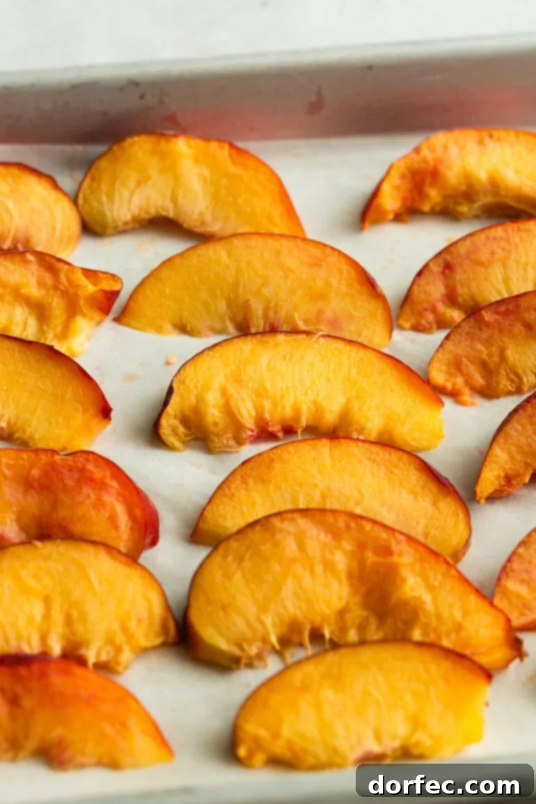 Frozen peach slices on a baking sheet, slightly frosty and ready to be transferred to storage.