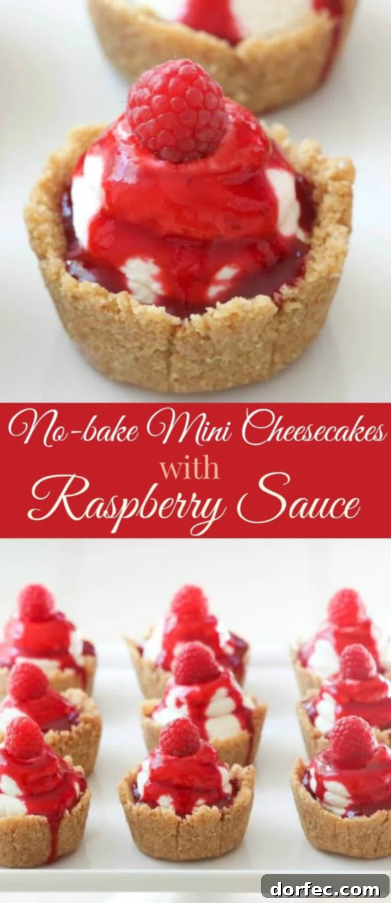 No-bake mini cheesecakes with raspberry sauce are the perfect desserts for a beautiful end to any meal. A great spring or summer dessert!