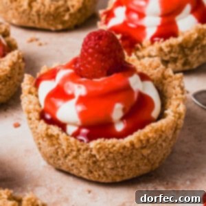 Raspberry Mini Cheesecakes