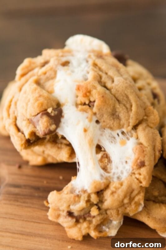 Reese's Marshmallow Peanut Butter Cookies ohsweetbasil.com