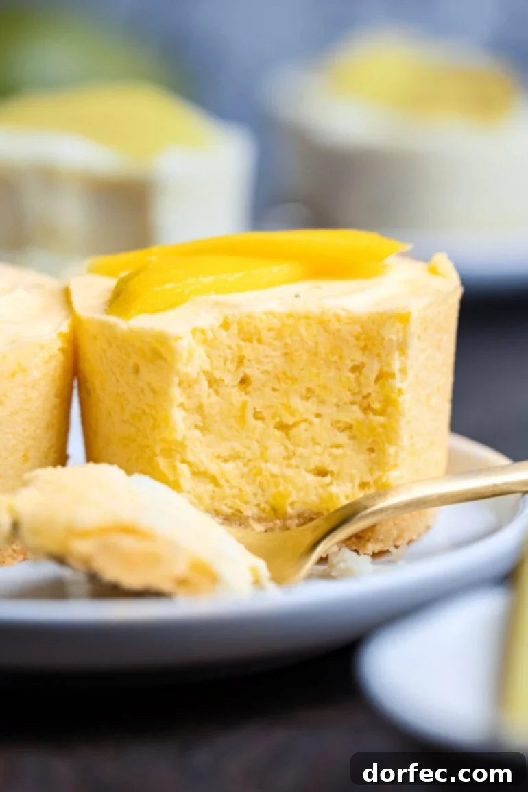 a small mango frozen pie with a bite removed with a fork with mango slices on top
