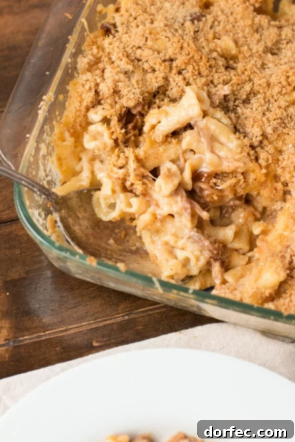 Close-up of creamy Sweet Pork Macaroni and Cheese with golden breadcrumbs