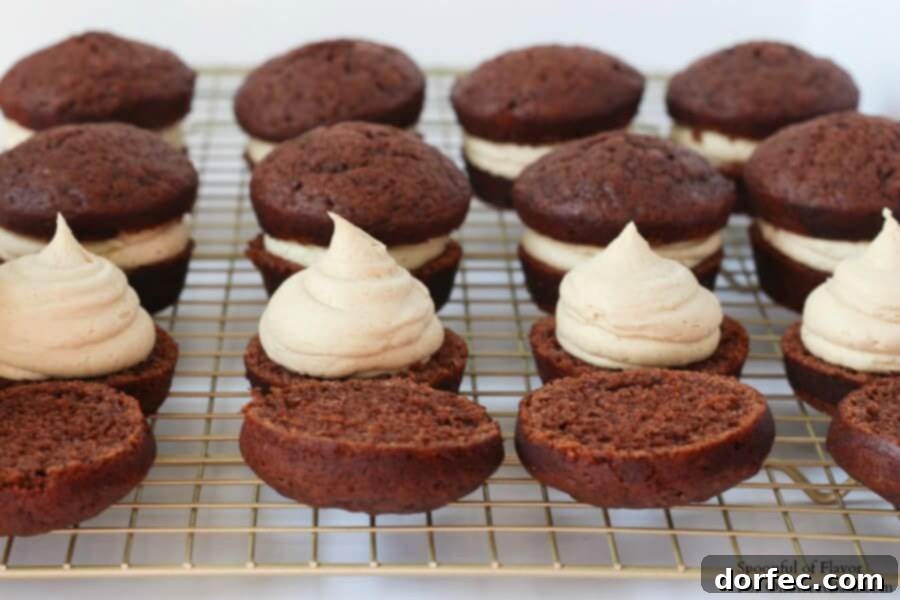 Chocolate Peanut Butter Cupcakes - are you drooling yet? Reese's peanut butter cups, chocolate ganache Close-up of a perfectly decorated Chocolate Peanut Butter Cupcake with smooth chocolate ganache and mini Reese's pieces.