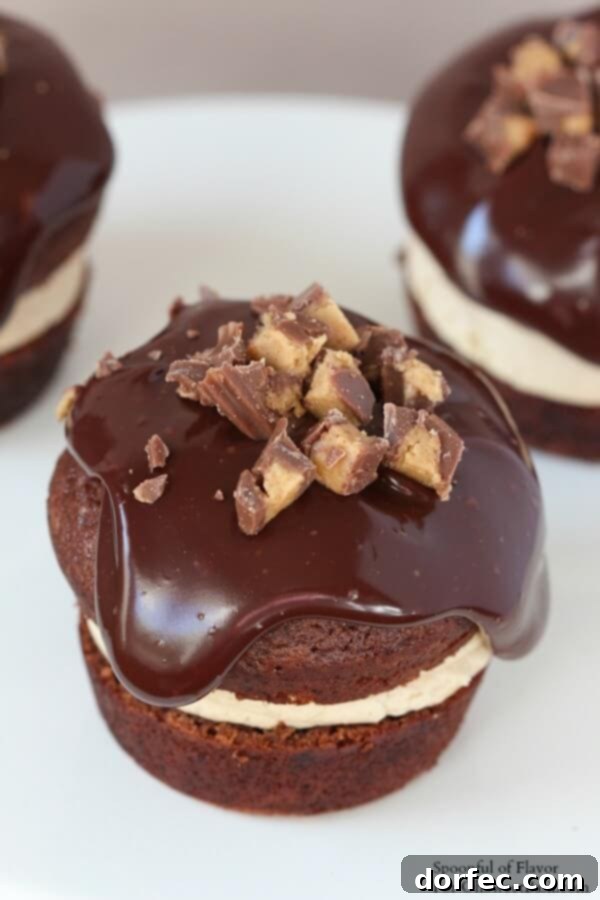 Chocolate Peanut Butter Cupcakes - are you drooling yet? Reese's peanut butter cups, chocolate ganache A tray of freshly baked Chocolate Peanut Butter Cupcakes, ready for sharing and indulging.