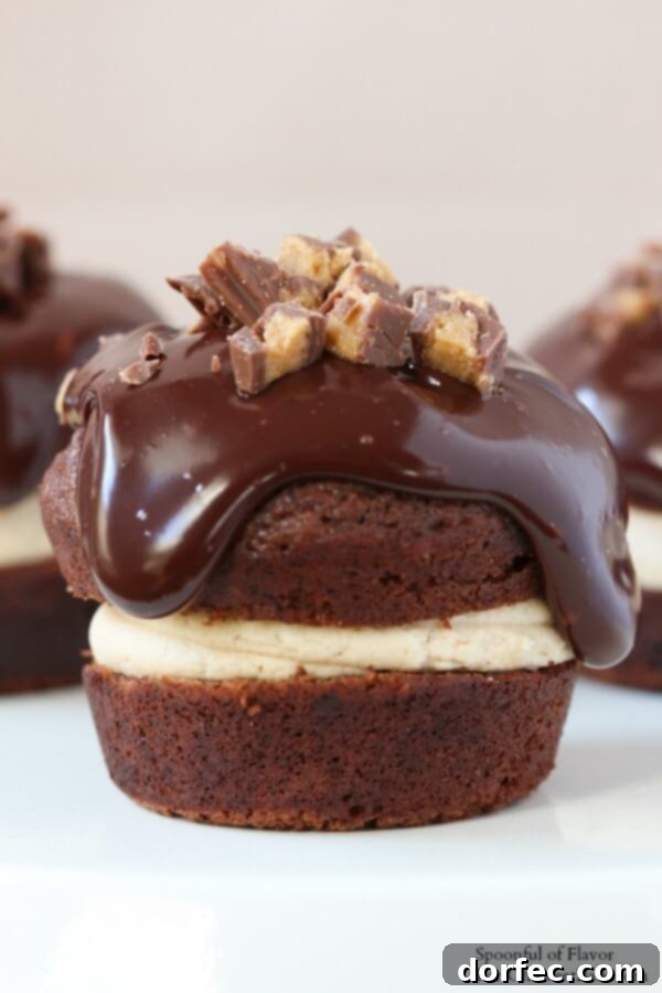 Chocolate Peanut Butter Cupcakes - are you drooling yet? Reese's peanut butter cups, chocolate ganache A close-up of a Chocolate Peanut Butter Cupcake revealing its layered interior: chocolate cake, peanut butter frosting, and ganache.