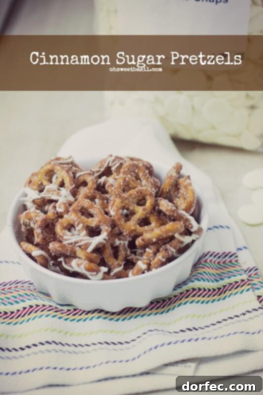 Sweet & Salty Churro Twists 5 Classic Cinnamon Sugar Pretzels, a simple yet delicious sweet pretzel snack