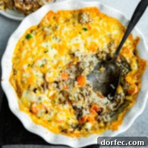 Hearty Cheesy Beef and Rice Bake 9 img 10914 8
