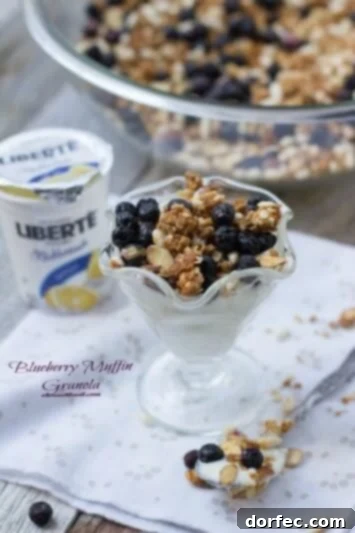 Delicious Blueberry Muffin Granola, a perfect breakfast or yummy snack.