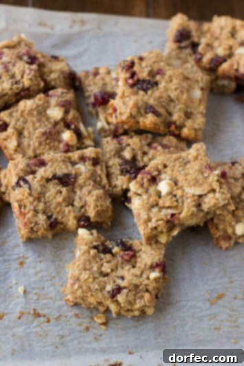 Healthy Pomegranate Yogurt Bites Granola Bars loaded with applesauce, craisins, wheat germ etc. Perfect for back to school!