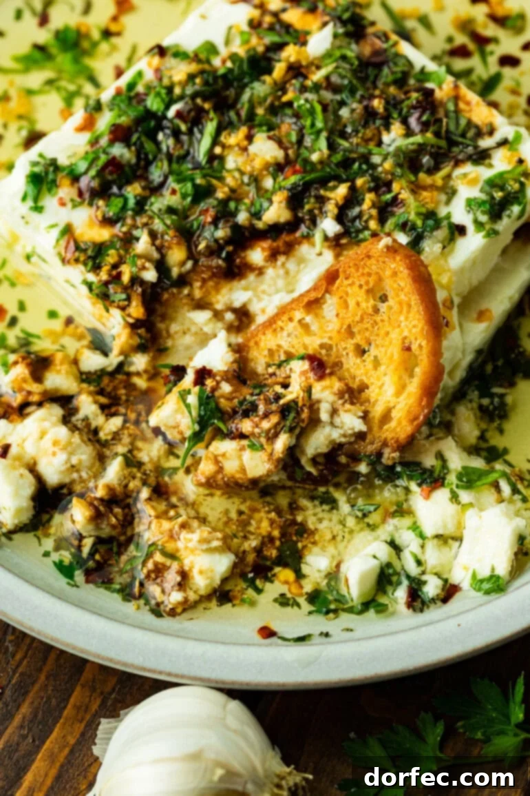 A crisp crostini expertly dipped into a bowl of creamy, herbed feta dip, showcasing the rich texture and vibrant colors of the Mediterranean appetizer.
