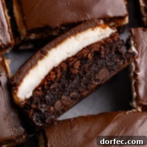 Chocolate cookie bars with marshmallow and chocolate topping close-up.