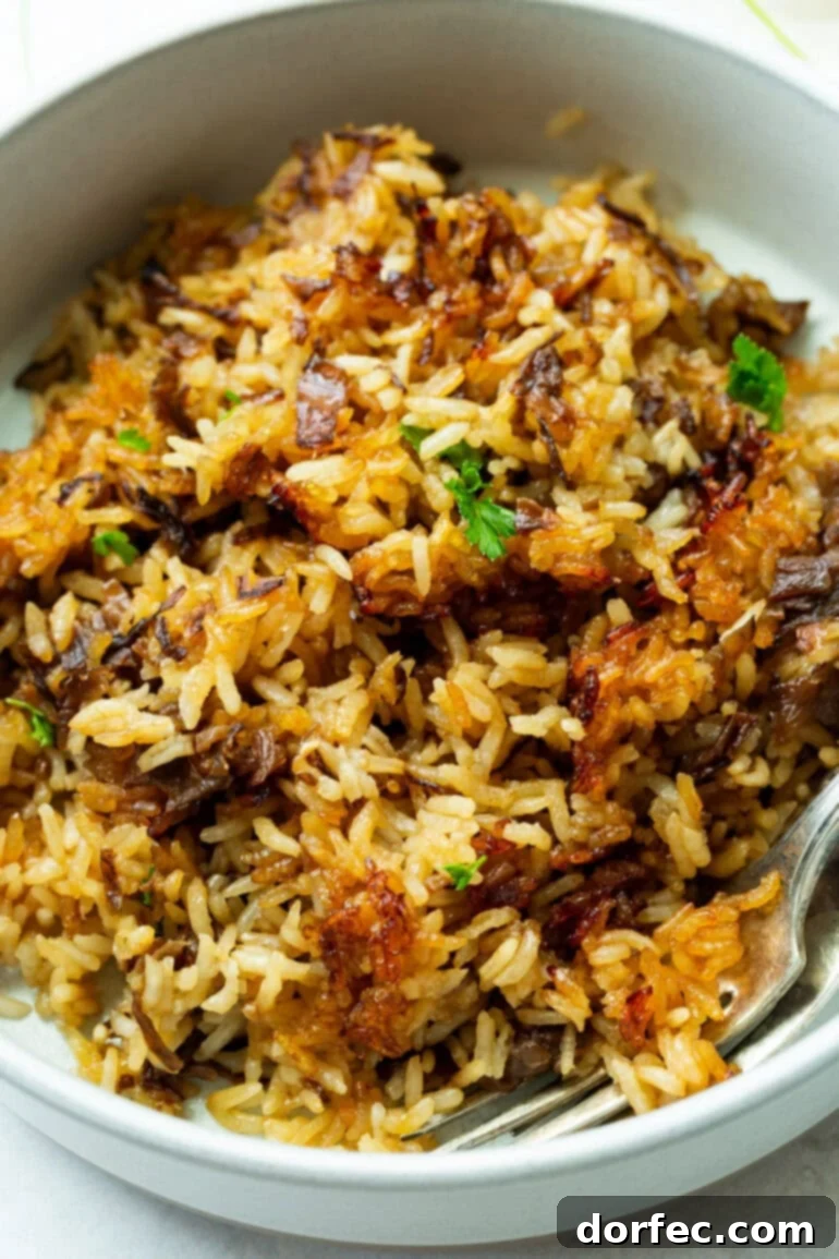 A close-up shot of Stick of Butter Rice with Beef Broth in a white bowl. The grains are fluffy and tender, with visible bits of caramelized onion from the soup mix. The rich brown color hints at the beef broth and buttery flavor.