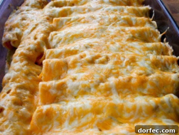 Honey Lime Chicken Enchiladas-2