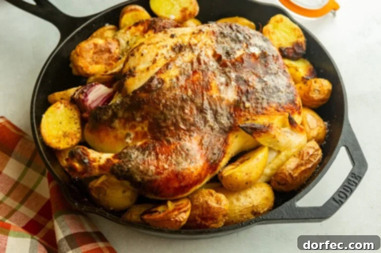 One Pan Garlic Butter Chicken and Potatoes 2 A large cast iron skillet containing a perfectly roasted whole chicken surrounded by golden, crispy potatoes.