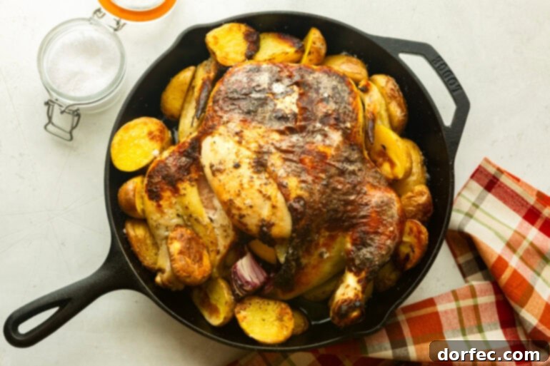 One Pan Garlic Butter Chicken and Potatoes 7 A large cast iron skillet brimming with a whole roasted chicken, surrounded by a generous portion of golden, crispy potatoes, showcasing a perfect family dinner.