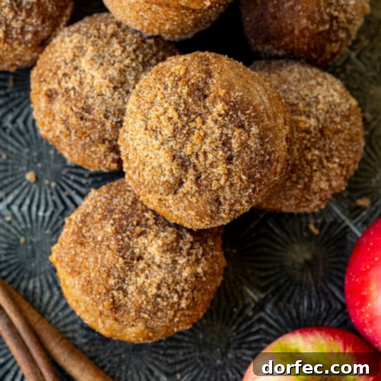 Easy Apple Cider Muffins, spiced and tender, capturing the delicious flavor of apple cider donuts