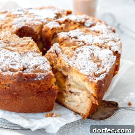 An old-fashioned, dense, and spiced Jewish apple cake, full of apple goodness